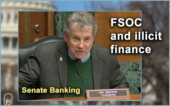 FSOC and illicit finance